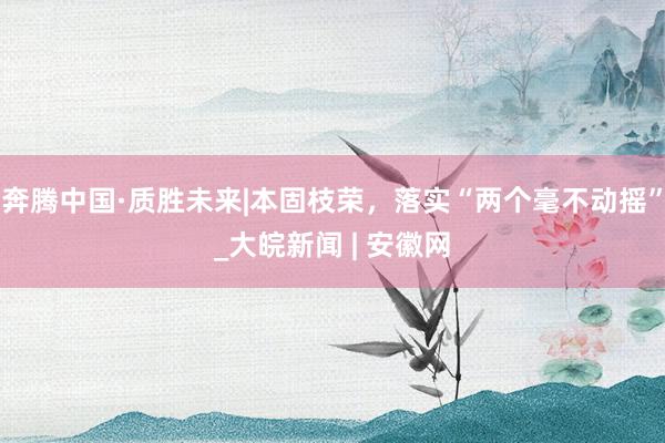 奔腾中国·质胜未来|本固枝荣，落实“两个毫不动摇”_大皖新闻 | 安徽网